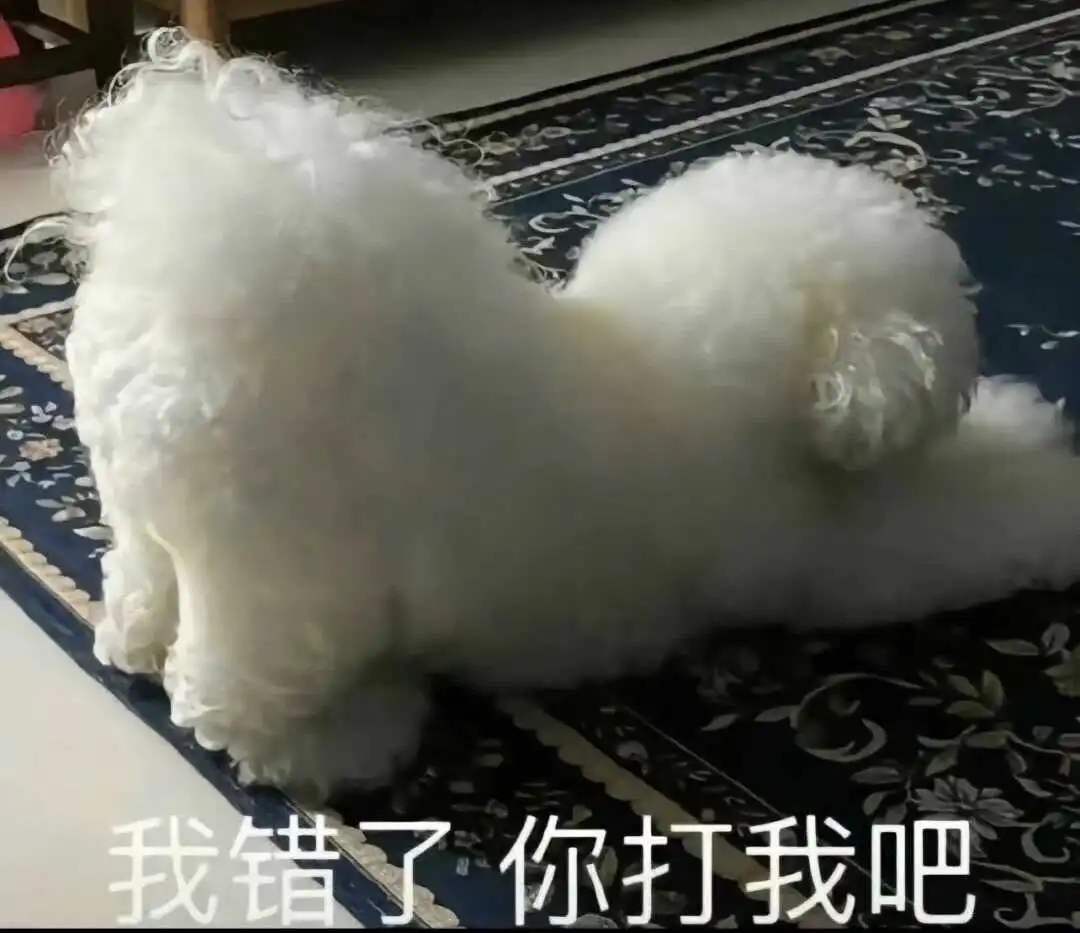 愿为你的s属性献身，你会如何引导？ 一