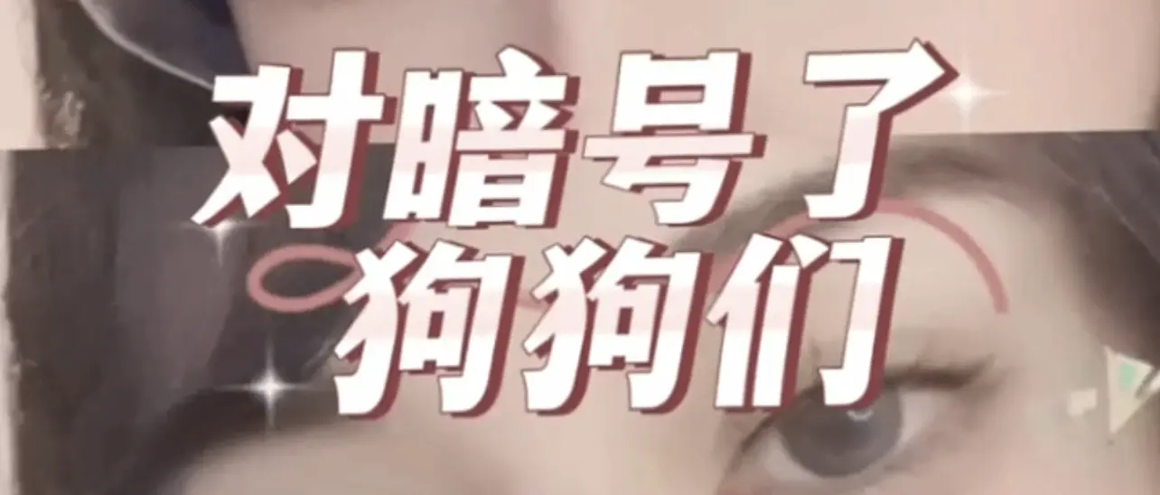 探索ds关系背后的秘密:在权力与臣服之间的迷人旅程 一