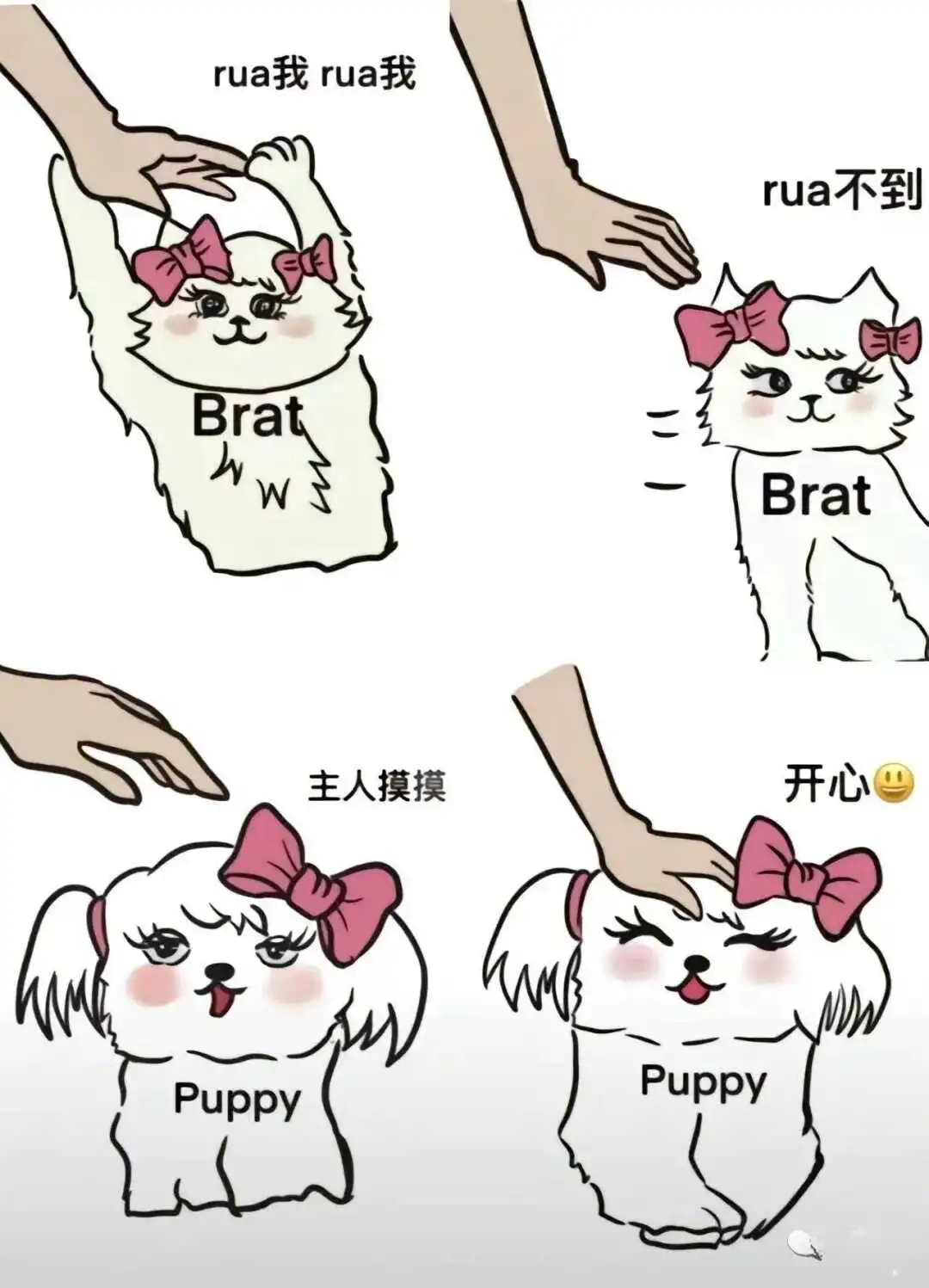字母圈入圈,体验不同的乐趣如何? 一