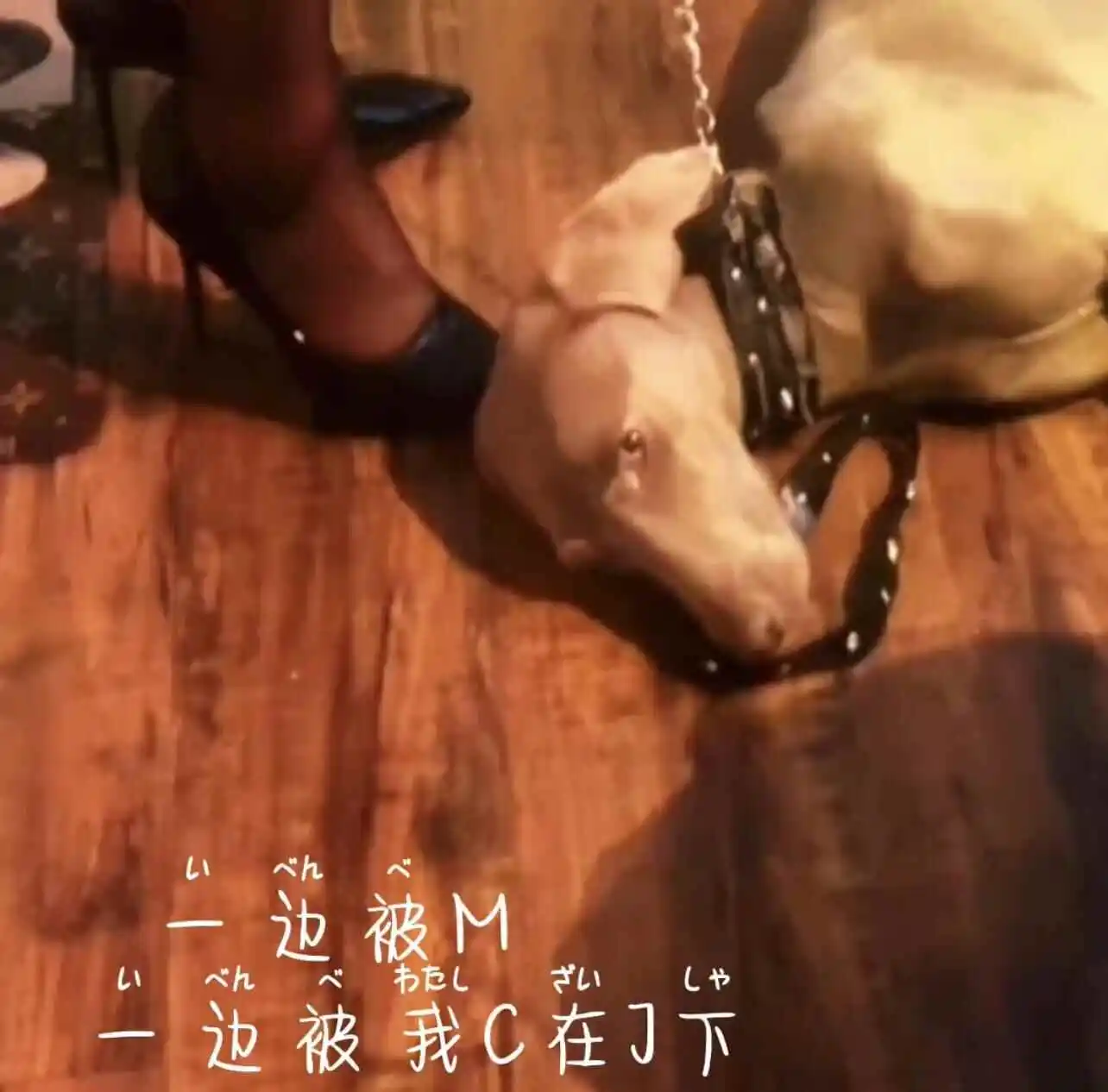 我与SM亚文化的奇妙旅程 一