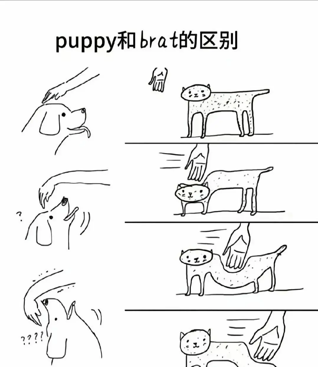 西檬之家k8猫系是什么?你的BDSM属性 一