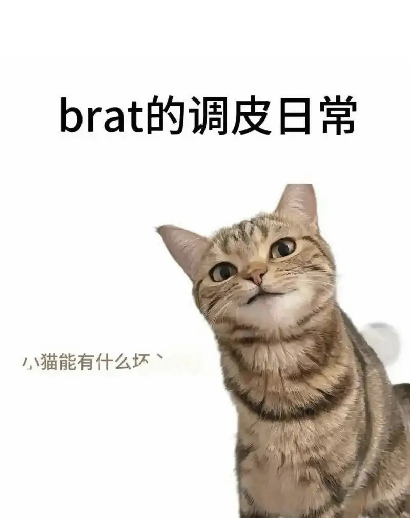 西檬之家字母圈里的S属性是什么? 一