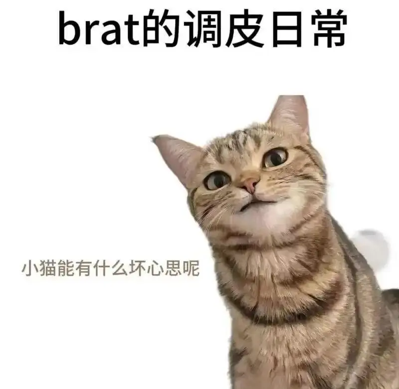 西檬之家恋足癖是BDSM的一种吗？新人入圈指南 一